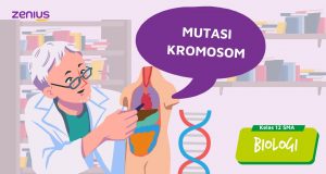 Jenis Mutasi Kromosom Materi Biologi SMA Kelas 12