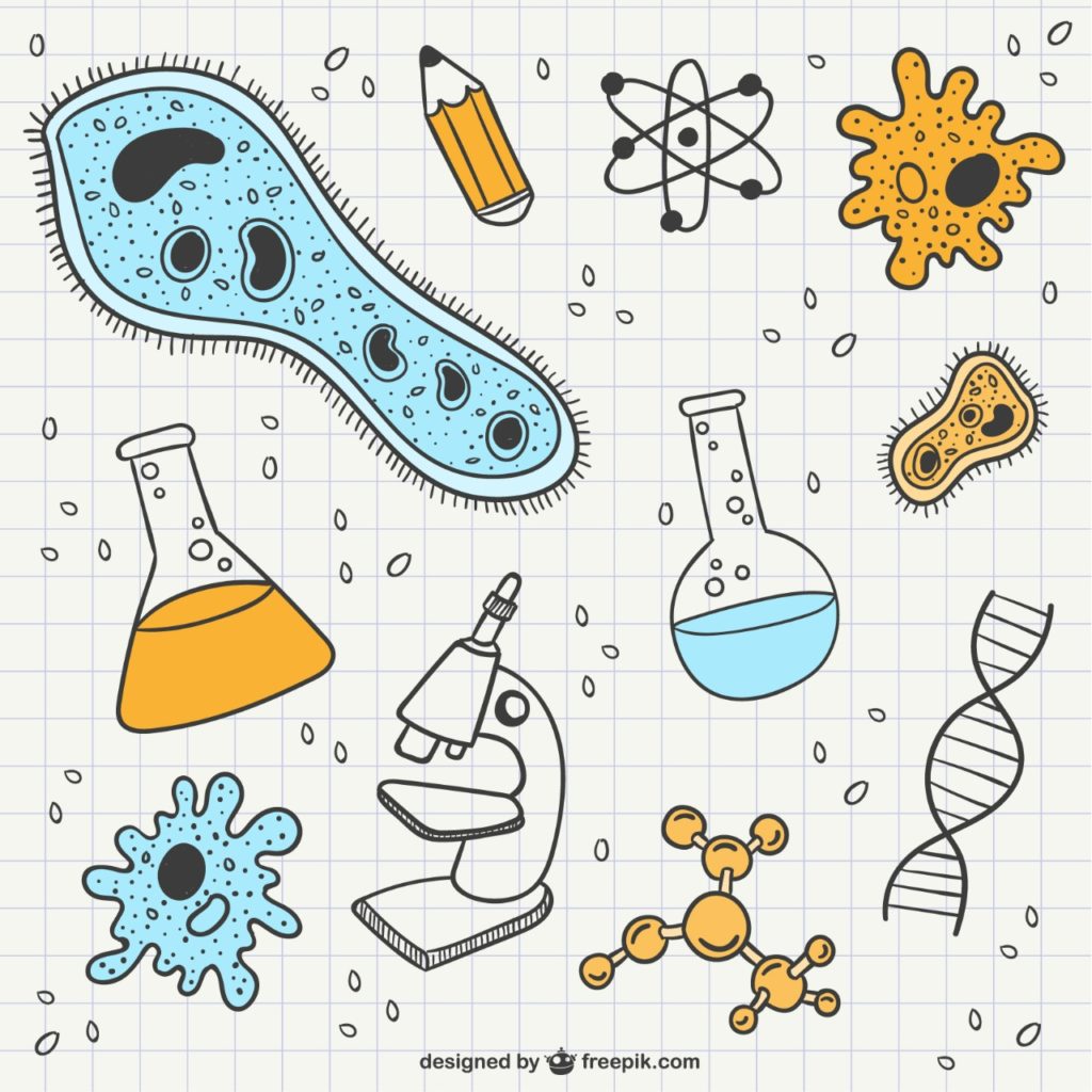 Kumpulan Soal Latihan PTS Biologi Kelas 12