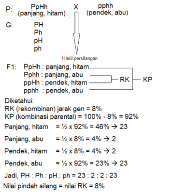 Mengenal Pola-pola Hereditas - Materi Biologi Kelas 12