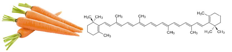 Senyawa Hidrokarbon Pada Karoten Dalam Wortel