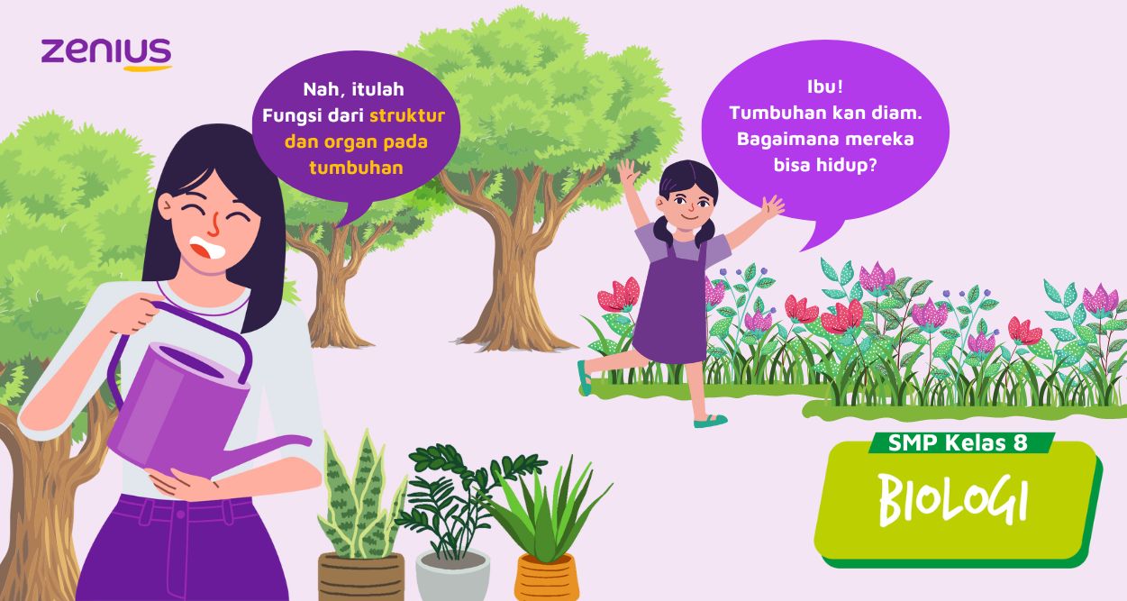 Mengenal Struktur dan Fungsi Tumbuhan