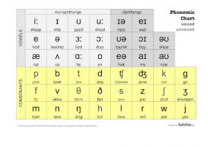 Phonetic Symbol - Mengenal Definisi Dan Contoh Simbol Fonetik