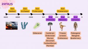 Zaman Paleozoikum, Ciri-Ciri, Dan Pembagiannya - Materi Biologi Kelas 10