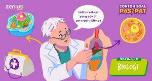 Contoh Soal PTS Biologi Kelas 11 Semester 1 Dan Pembahasan