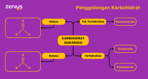 Jenis Karbohidrat (Arsip Zenius)