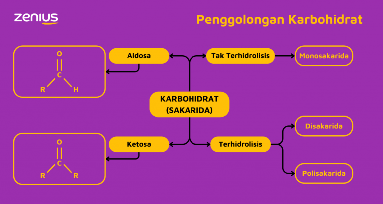 Mengenal Fungsi Dan Jenis Karbohidrat Biologi Kelas 11 0138